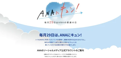 ANAキュンのイメージ