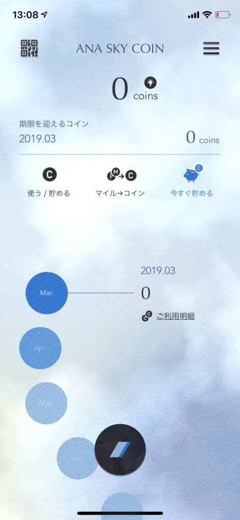スカイコインの確認