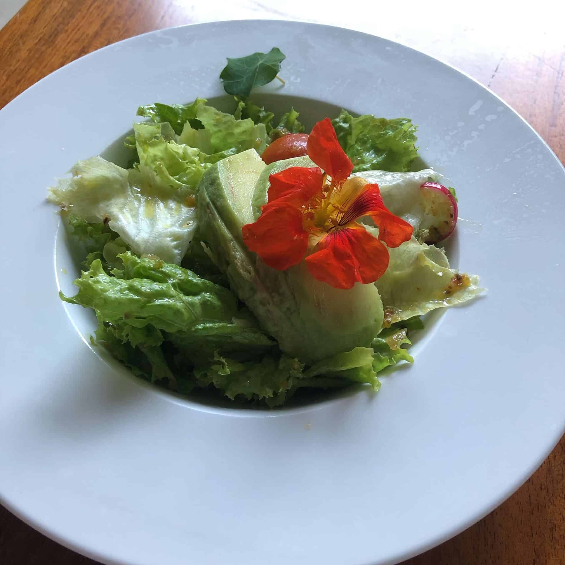 グリーンサラダ