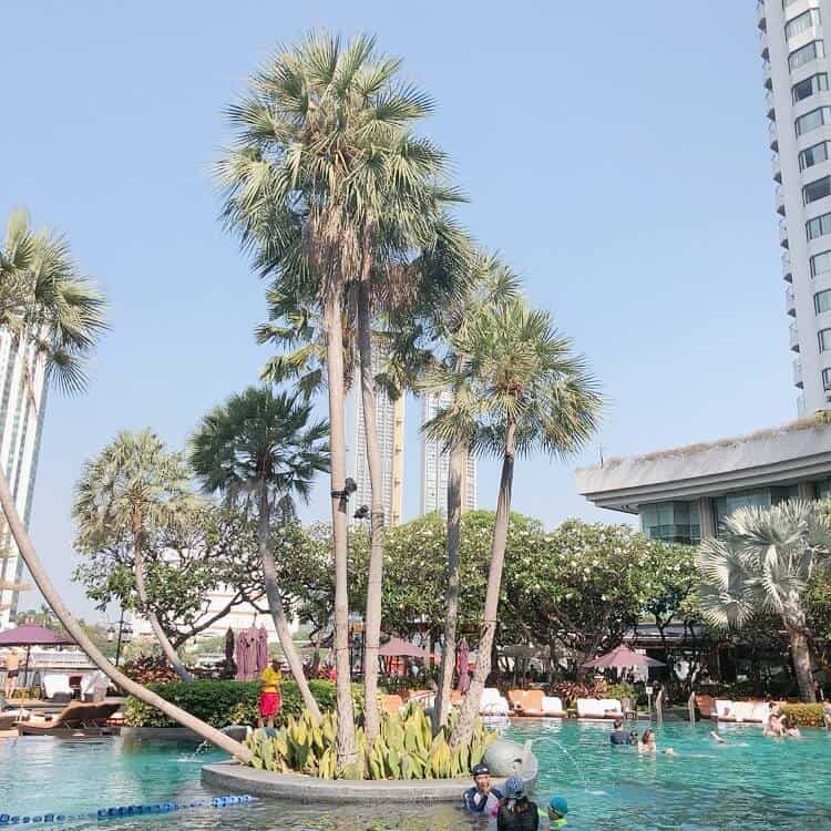 ガーデンプール全体