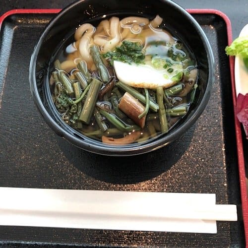 山菜うどん