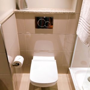 ウォシュレット機能が付いていないトイレ