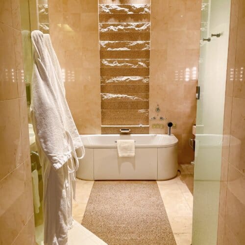 ウェットエリア全体の様子