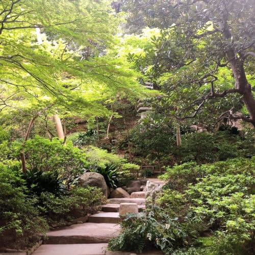 日本庭園の様子
