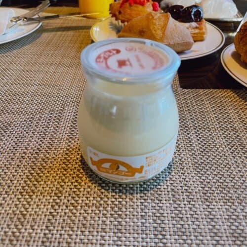 マンゴーヨーグルト