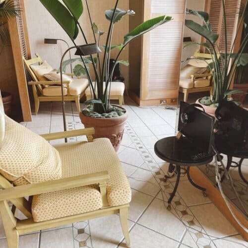 観葉植物とリラクゼーションエリア