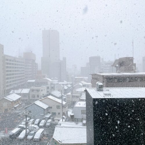 翌朝の雪が降っている様子