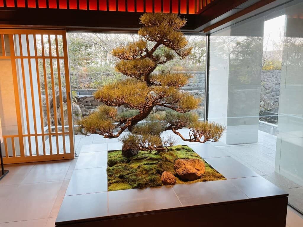 ロビーに飾られている巨大松