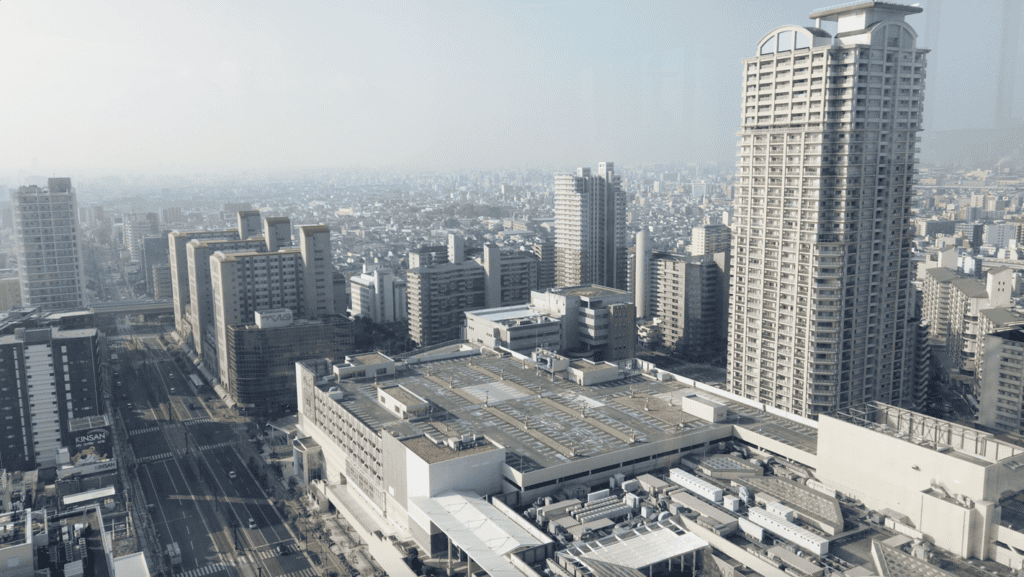 19階から眺める景色