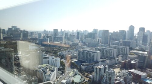 オアシスガーデンからの景色