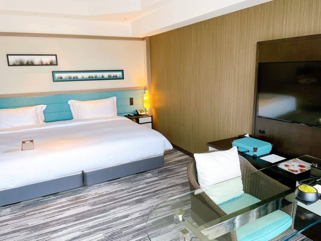 パノラマミックキングルーム全体の様子