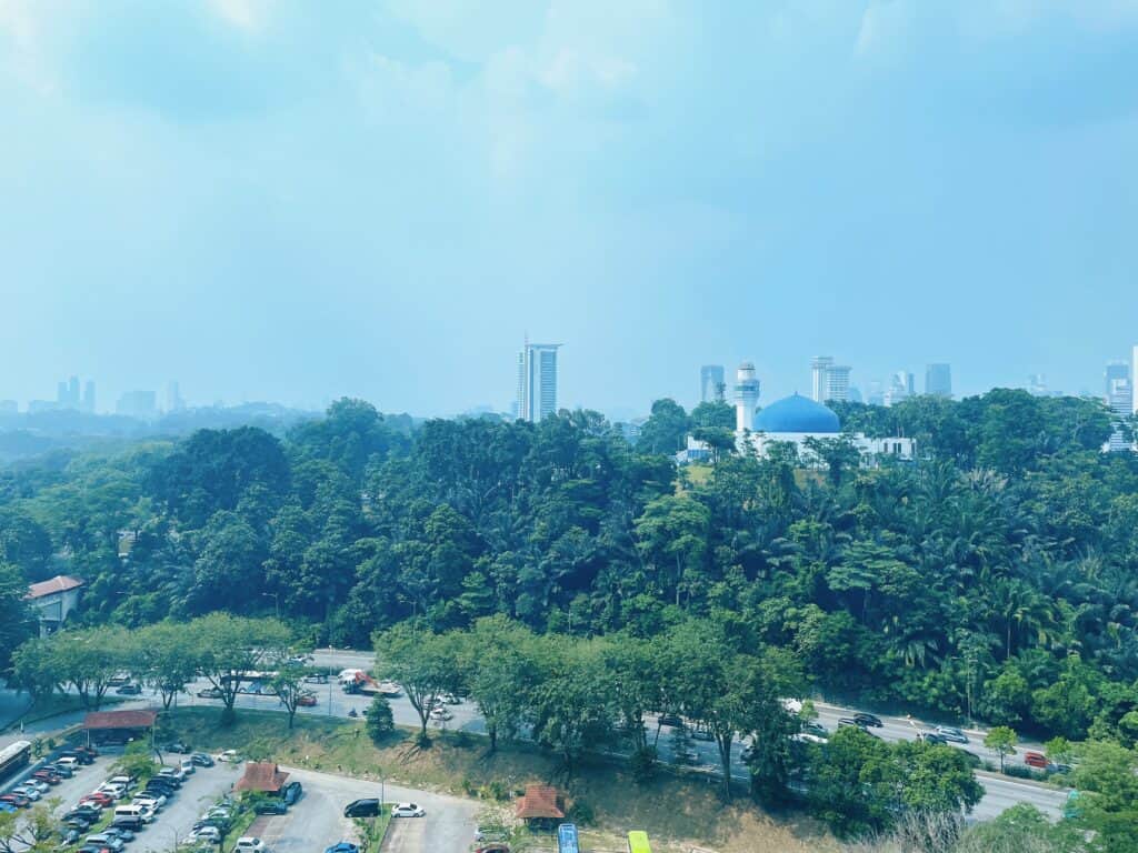 お部屋からの眺望