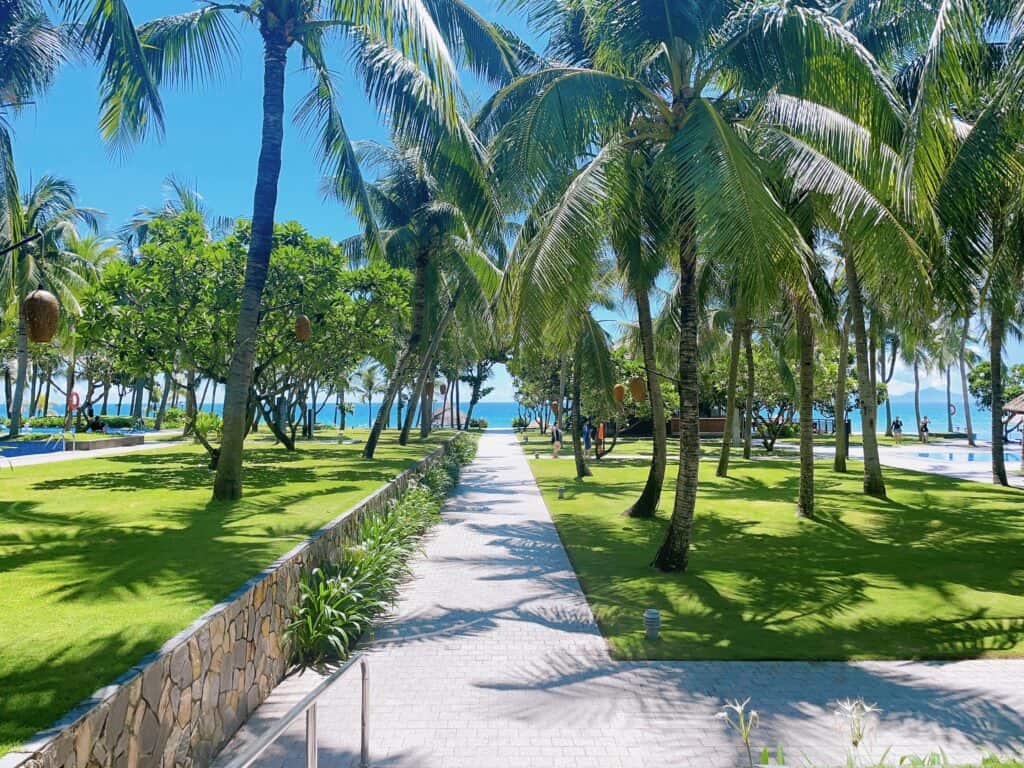 ダナンマリオットリゾート＆スパのヤシに囲まれたビーチ