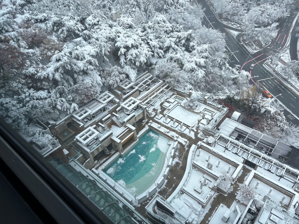 新羅ホテルのカバナプール