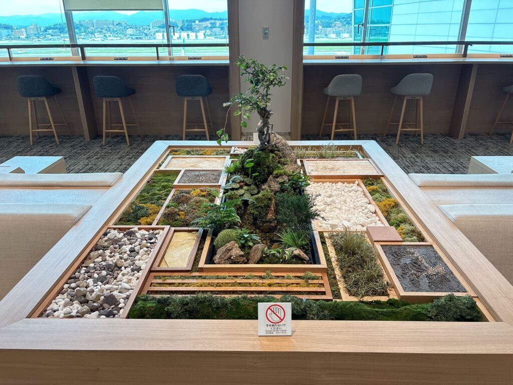 リラックススペース中央にある盆栽