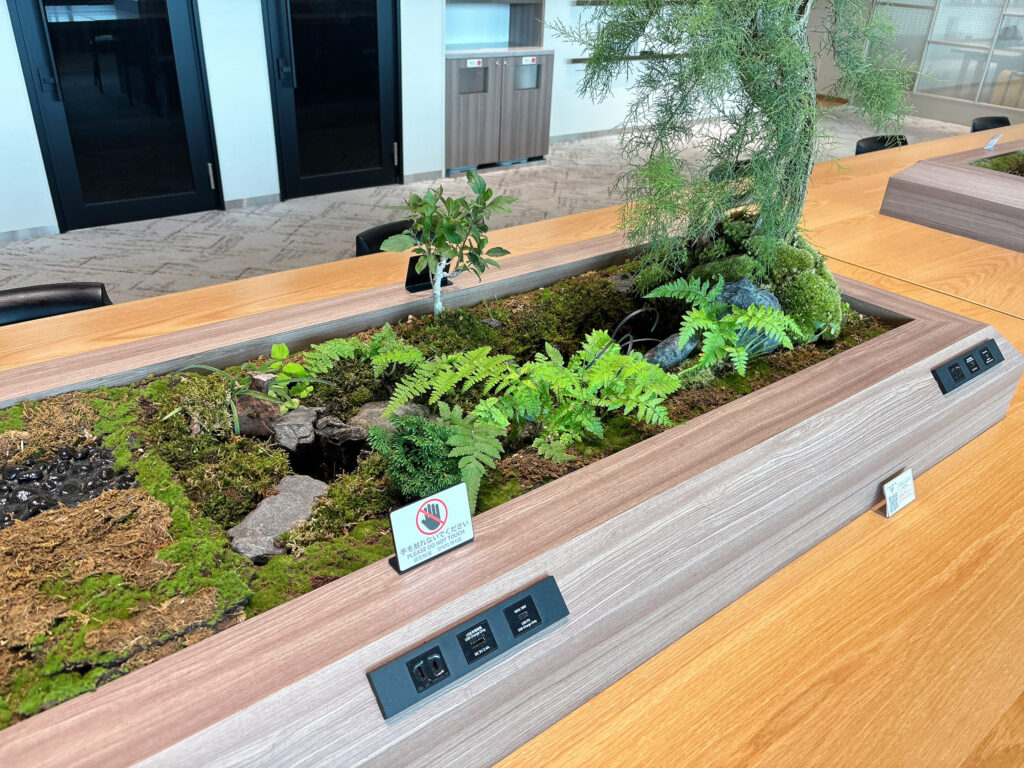 テーブル席の中央にある盆栽コーナー