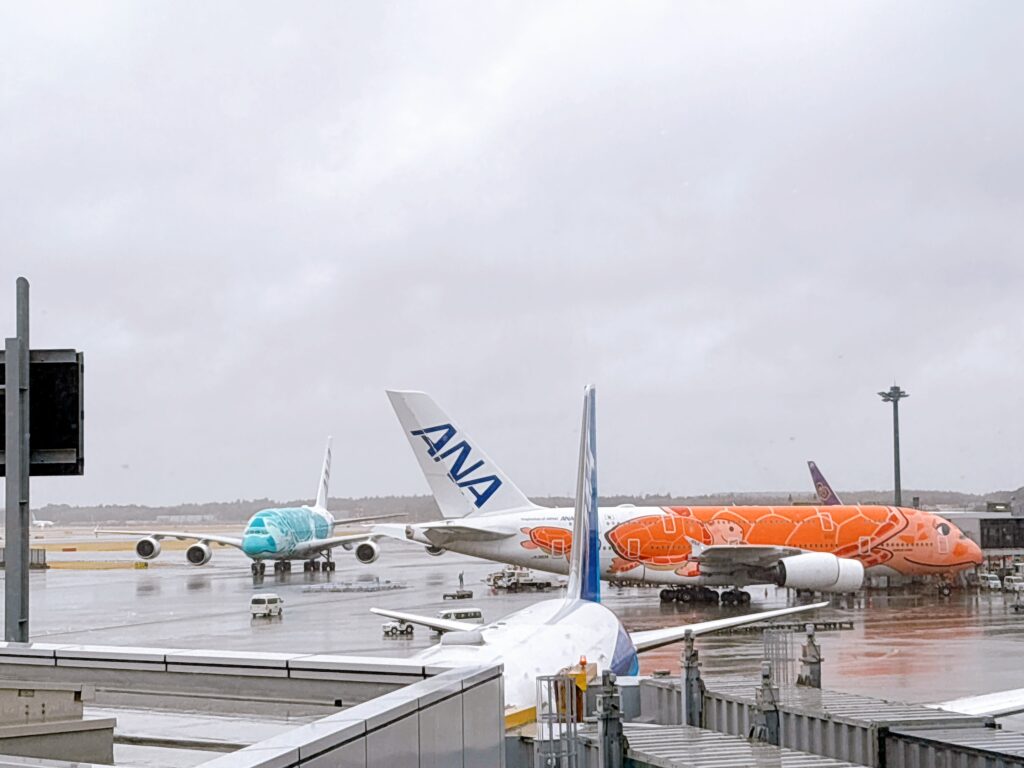 成田空港に駐機するフライングホヌ