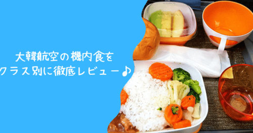【2026年版】大韓航空の機内食は超絶品！エコノミークラス・ビジネスクラス別に解説