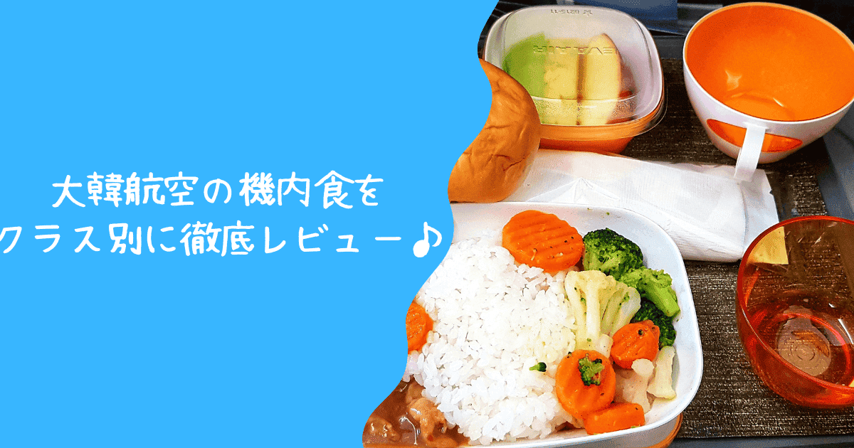 【2026年版】大韓航空の機内食は超絶品！エコノミークラス・ビジネスクラス別に解説