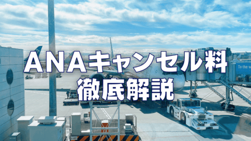 【2026年最新】ANAのキャンセル料を国内線・国際線別に徹底解説！