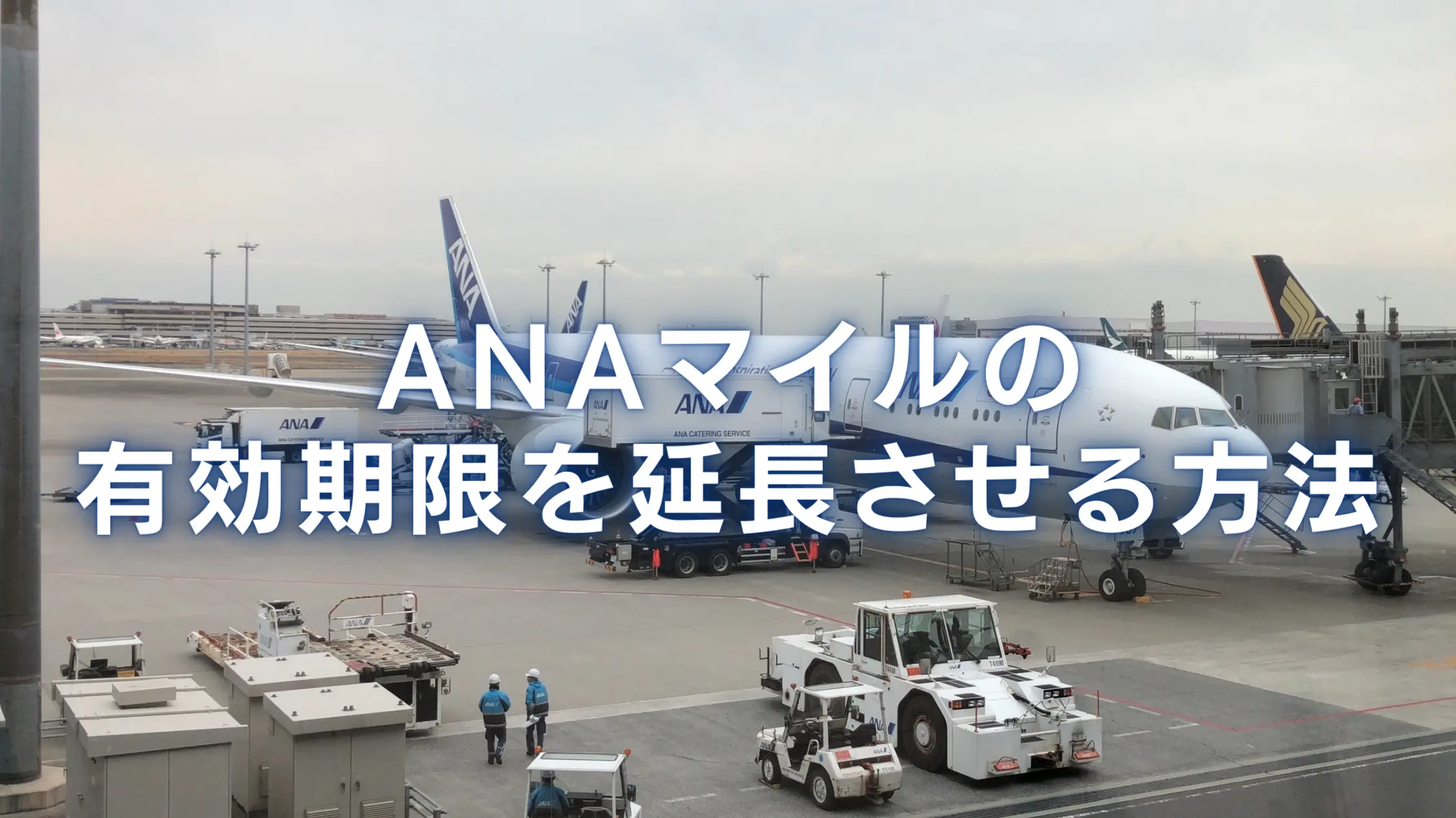 【2026年版】ANAマイルの有効期限はいつまで？延長方法も徹底解説！