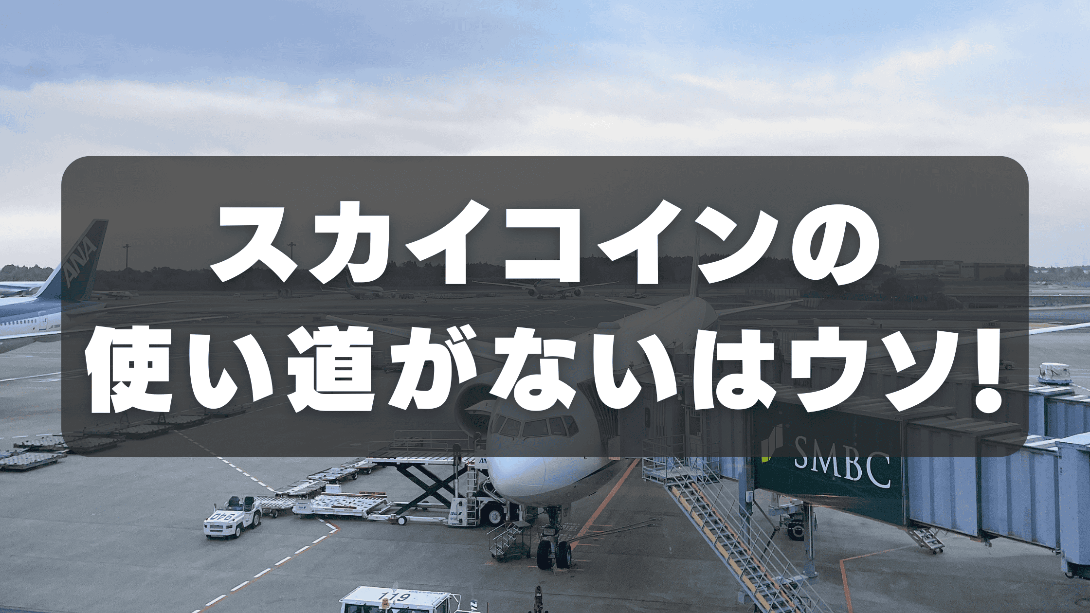 ANAスカイコインの使い道がない?7つの使い方と貯め方を解説