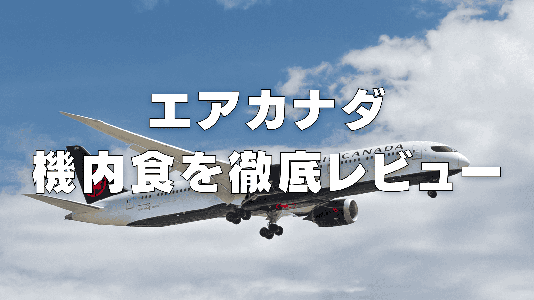 【2026年版】エアカナダの機内食はまずい？エコノミー・ビジネスクラス別に解説！